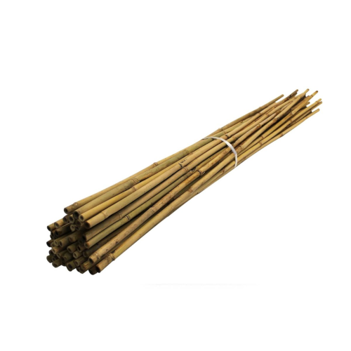 Grass Roots  2.1m Pre-packed Bamboo Cane