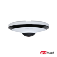 Dahua IP 5MP AI Fish Eye Panoramic Camera