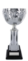 25cm Silver Cup on Double Plinth | TC78