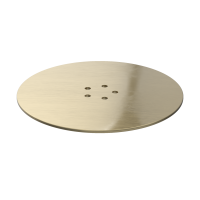 Viva Brushed Brass Metal Shower Trap Dome