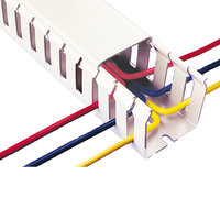 Slotted Trunking