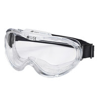 Clear Ski Goggle