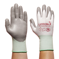 Lebon Powerfit