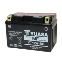 YUASA Battery 12V10AH