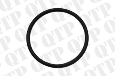 Transmission Valve O-Ring