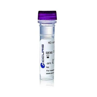 40mM dNTP Mix, ready-to-use, 10mM/80μmol each, 2ml