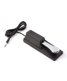 Pedals and Foot Switches