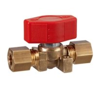 Single caravan manifold valve