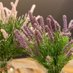 Lavender with Vase Assorted 4