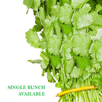 Coriander (Bunch)