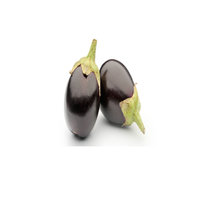 Baby Aubergine