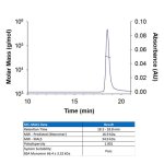 Protein, Recombinant Human IFN-gamma Protein, CF, 100 &micro;g