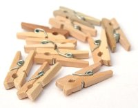 Small Wooden Pegs (25)