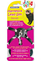 Ancol Ferret Harness & Lead Set x 1