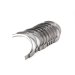 BEARING KIT, MAIN (10 PCS) - STD