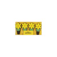 Spring daffodils in gift pack - 12x75g