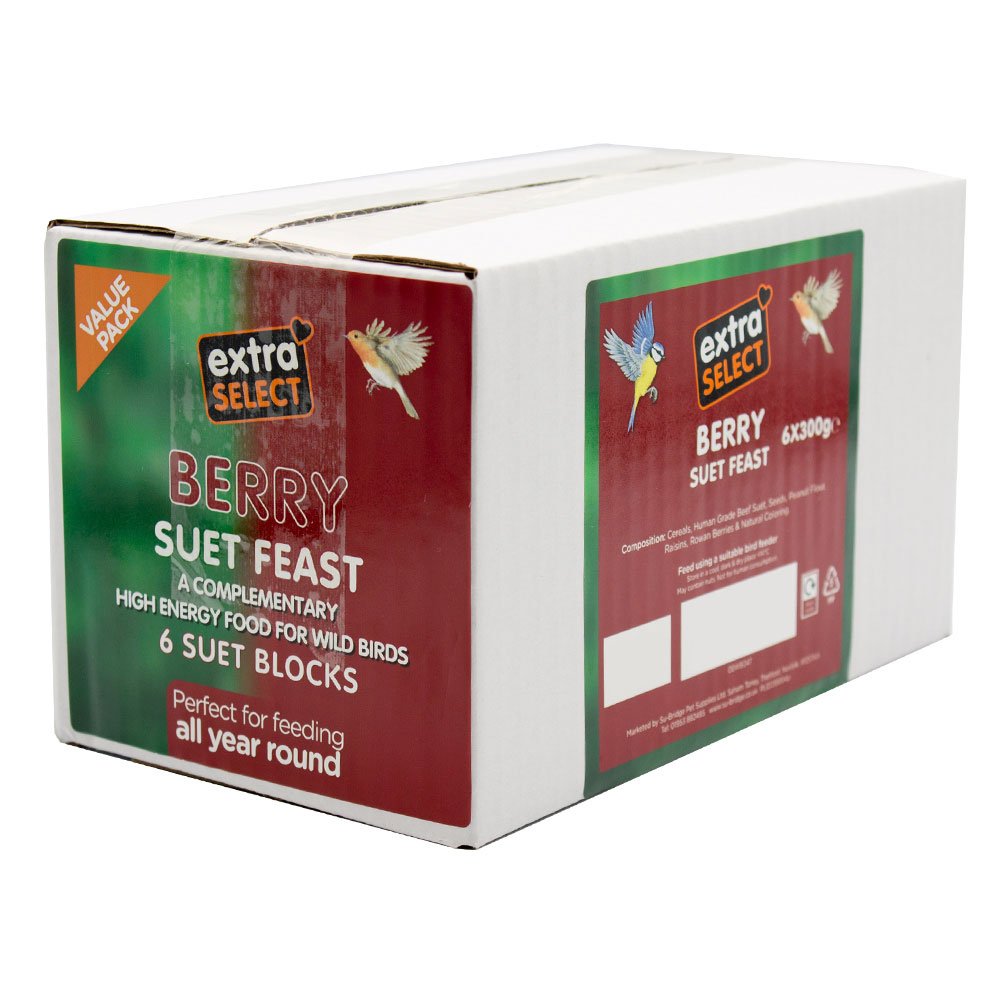 Extra Select WB047 Berry Suet Feast Blocks 6x300gm