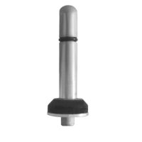 Buckeye Valve Stem *While supplies last*