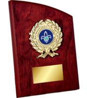 15cm Arched Rose Plaque (V221)