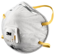 3M 8812 Face Mask P1 (10's)
