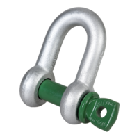 Standard Dee Shackle with Screw Collar Pin