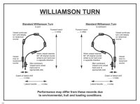 Williamson Turn