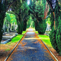 Family Fun at Glasnevin Cemetery Museum