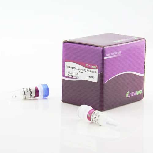 gDNA Removal and RT Mix, FastKing gDNA Dispelling RT Super Mix, GKR118-01, 20μl x 25 rxn