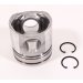 PISTON BODY C/W CLIPS