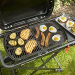 Weber Traveler&reg; Portable Gas Barbecue 1501744