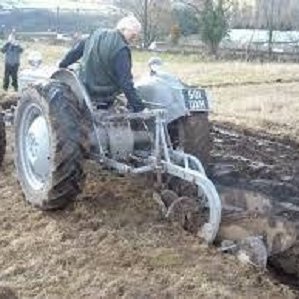 ferguson-plough-parts