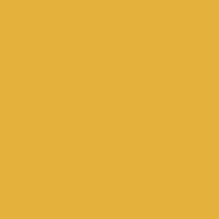 Curry Yellow ST9 Laminate 3050 x 1310 
