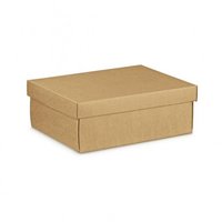 BOX WITH LID NATURAL 455X320X150MM S/R