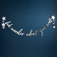 Silver 'We Wonder What You Are?' Card Banner 2m