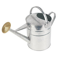 GALVANISED WATERING CAN 9 LTR