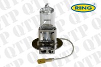 1003G_Bulb.jpg