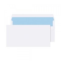DL Envelope (40) - Self Seal