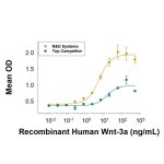 Protein, Recombinant Human Wnt-3a Protein, 10 &micro;g