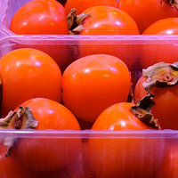 Kakifruit (Hurma) Pack of 4