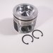 PISTON BODY STD C/W CLIPS