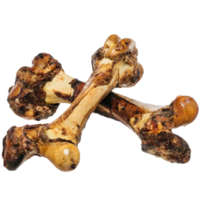 T Forrest Roast Jurassic Whole Bones x 8