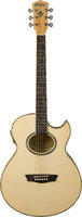 Washburn Festival EA20