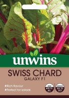 SWISS-CHARD-GALAXY-F1