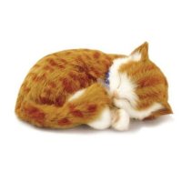 Penny the cat is a ginger cat that is velvety soft and come with a carrying crate and bed.