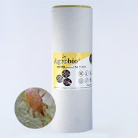 HypoControl - Stratiolaelaps scimitus - 125.000 predatory mites (all stages)