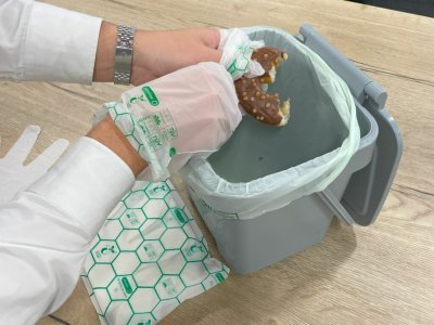 COMPOSTABLE GLOVES 100PK