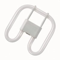 Compact Fluorescent 2D