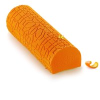 MAYA BUCHE/ Log moulds for Frozen desserts 