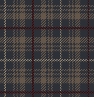 CONTESSA TARTAN GREY/BEIGE 4M