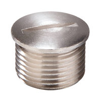 Blanking Plug EMVS-L 16 M16 x 1.5
